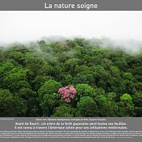 P2007 17LaNatureSoigne 